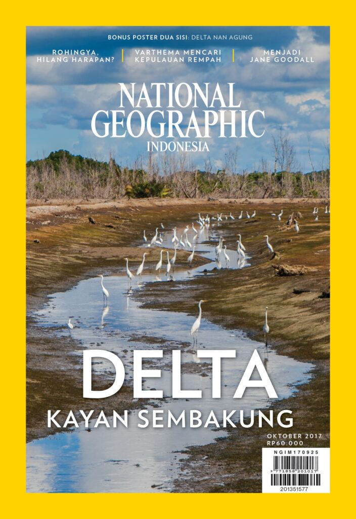 1017 NGI C 1 R1 704x1024