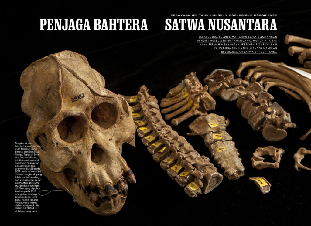 ID Museum Zoologicum Bogoriense Rev DS Ed Last Map 1 1024x745