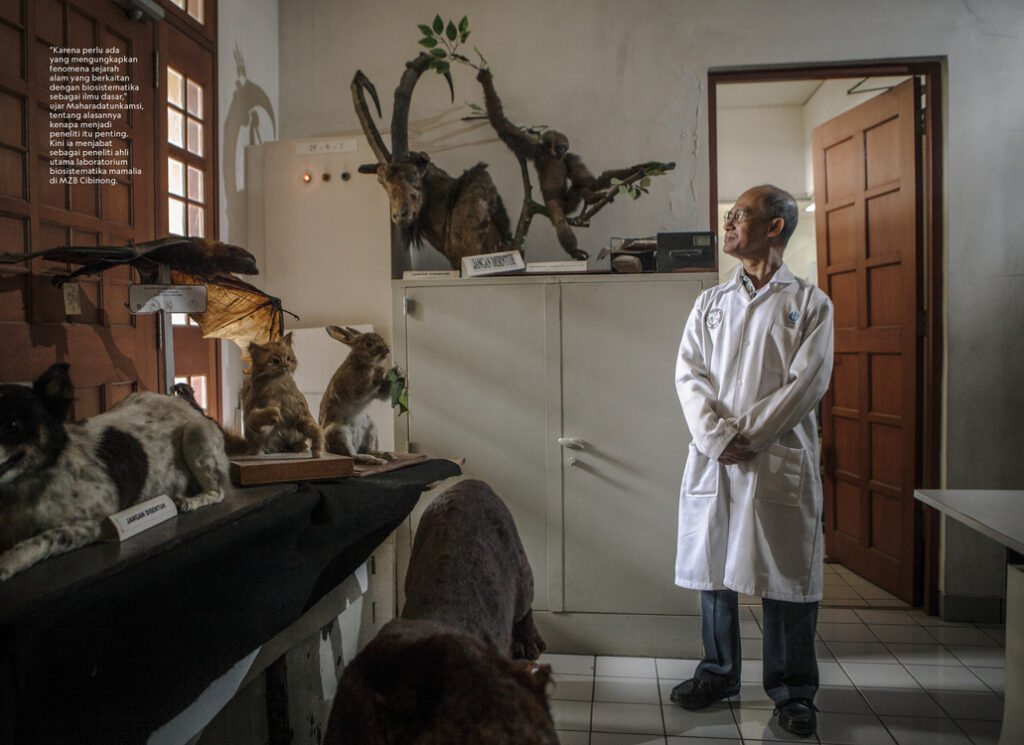 ID Museum Zoologicum Bogoriense Rev DS Ed Last Map2 1 1024x745