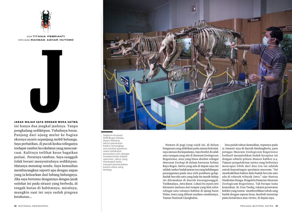 ID Museum Zoologicum Bogoriense Rev DS Ed Last Map3 1 1024x745