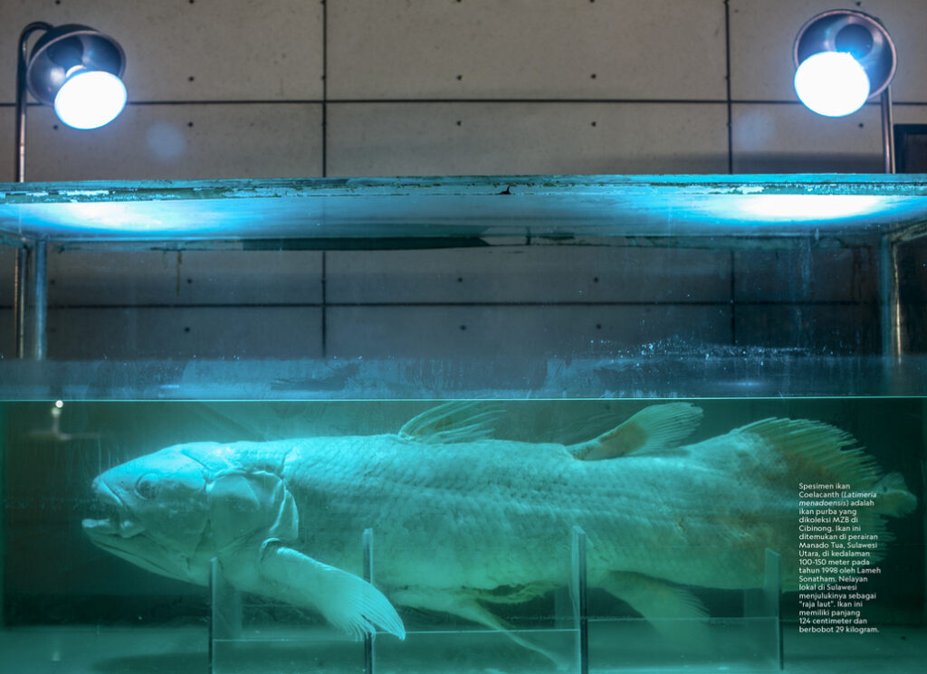 ID Museum Zoologicum Bogoriense Rev DS Ed Last Map5 1024x745